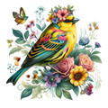Whimsy_204