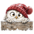 Christmas Whimsy - Peeking Owl in Knit Hat DTF transfer