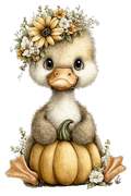 Whimsy_26