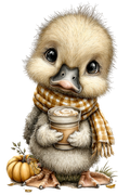 Whimsy_31