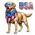 Yellow Lab USA