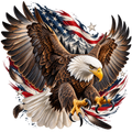 American Bald Eagle