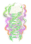 Cannabis 076 Halftone transfer