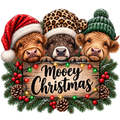 Silly Highland Christmas4