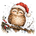 Christmas Whimsy - Owl in Santa Hat on a Branch DTF transfer