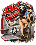 Tail Wind Mustang Pin-Up Nose Art DTF transfer