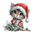 Whimsy_254
