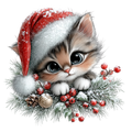 Whimsy_261