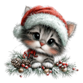 Whimsy_262