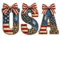USA (textured)
