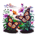 Butterfly19