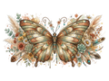 Butterfly10