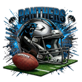 Carolina Panthers