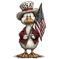 Whimsey Duck USA Cap