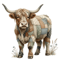 Highland Cow 45