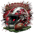 Cardinals