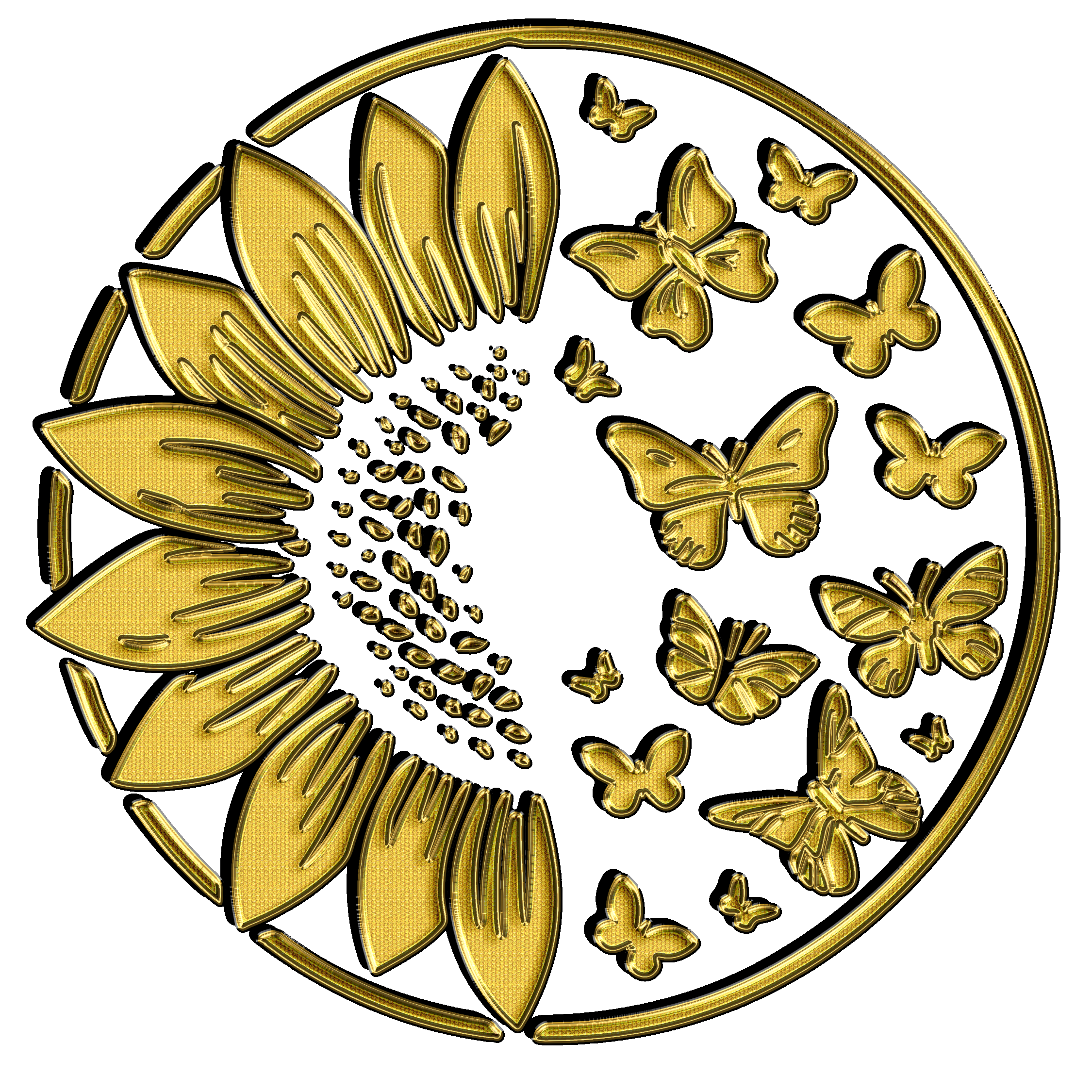 Butterfly28