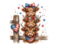 Highland Cow 47