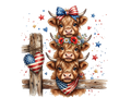 Highland Cow 46