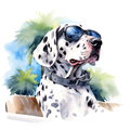 Dalmatian