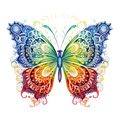 Butterfly29