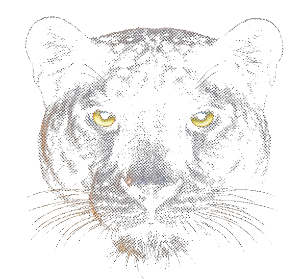 Black Panther Face Halftone transfer