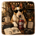 Boston Terrier Dr Pepper