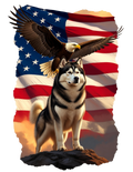 Flag Eagle Husky