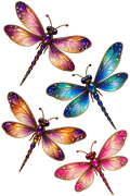 Dragonflies x4