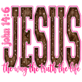 Jesus The Way The Truth The Life (John 14:6)