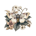 Butterfly56