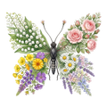 Butterfly66