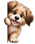 Peek a boo Puppy