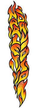 Harley Davidson Flame (sleeve)