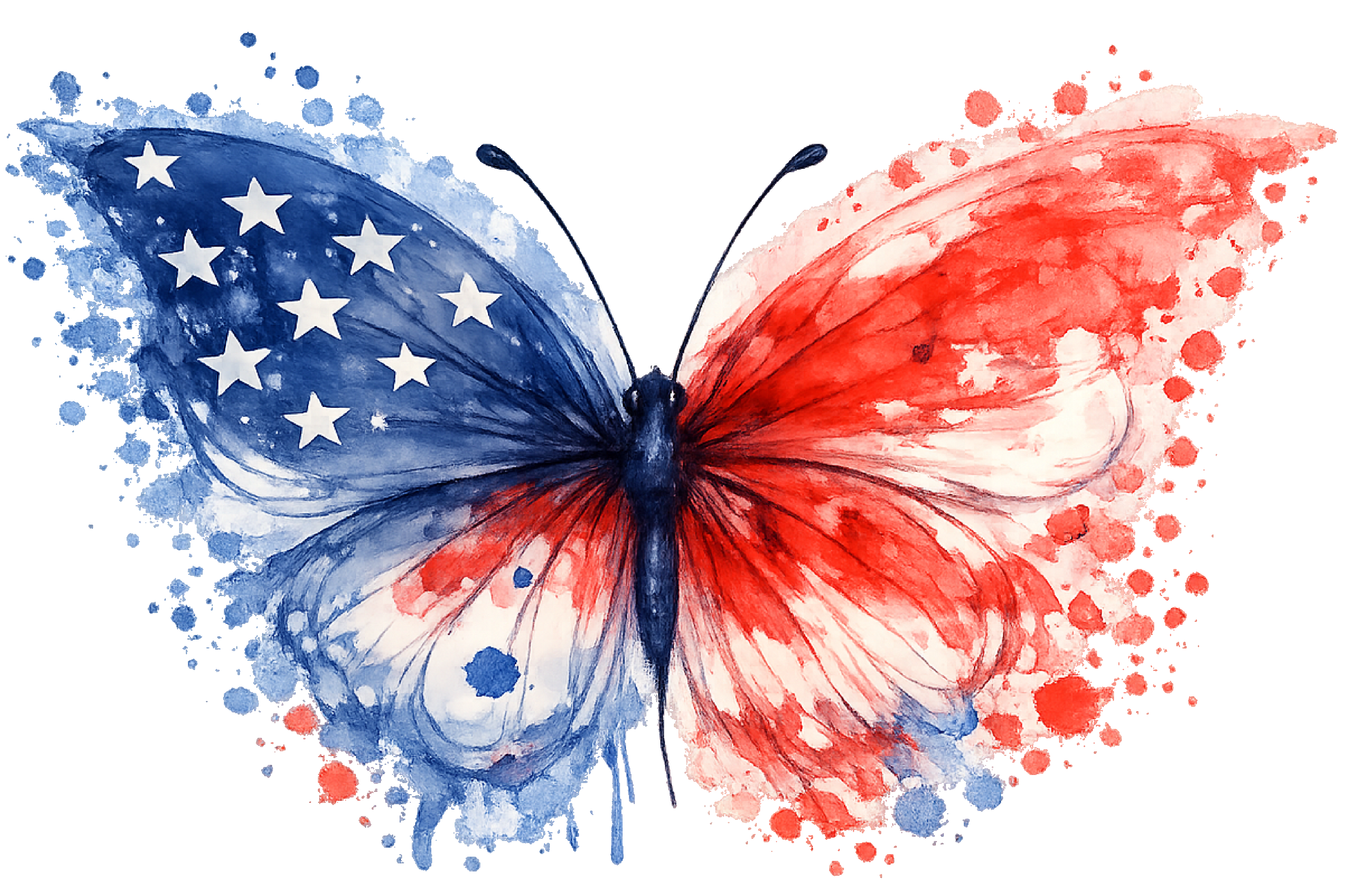 Butterfly62