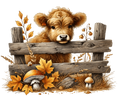 Highland Cow 23