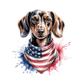 Dachshund