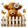 Highland Cow 9