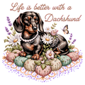 Life Is Better With A Dachshund