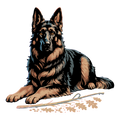 German Shepherd