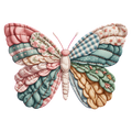 Butterfly24