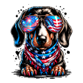 Dachshund 4th of July2