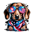 Dachshund 4th of July