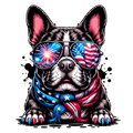 Frenchie 4th Of July