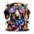 Dachshund 4th of July3