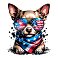 Chihuahua 4th Of July