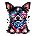 Chihuahua 4th Of July2