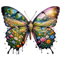 Butterfly18