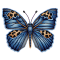 Butterfly9