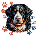 Bernese Mountain Dog